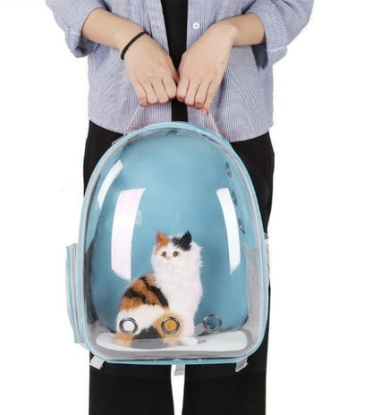 Whimsical See-Through Cat Adventure Backpack with Easy-Access Side Hatch!