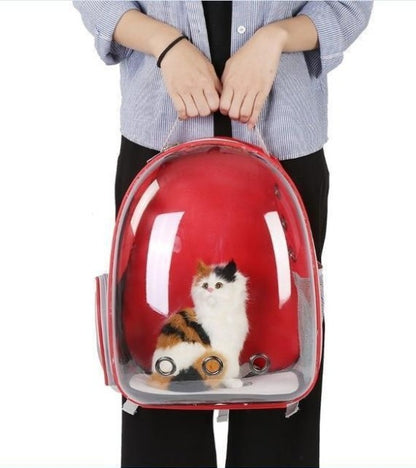 Whimsical See-Through Cat Adventure Backpack with Easy-Access Side Hatch!