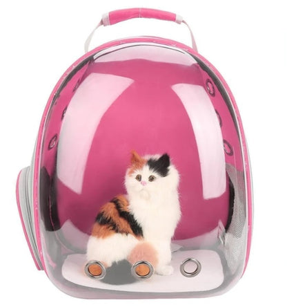 Whimsical See-Through Cat Adventure Backpack with Easy-Access Side Hatch!