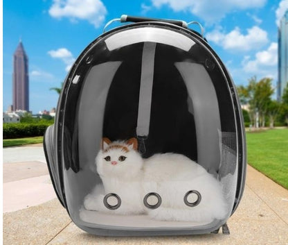 Whimsical See-Through Cat Adventure Backpack with Easy-Access Side Hatch!