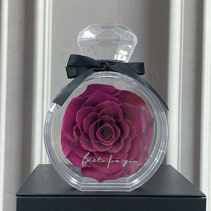 Timeless Dried Rose Gift Box with Transparent Cover for Holidays and Special Occasions