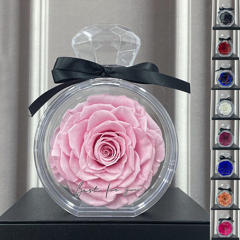 Timeless Dried Rose Gift Box with Transparent Cover for Holidays and Special Occasions