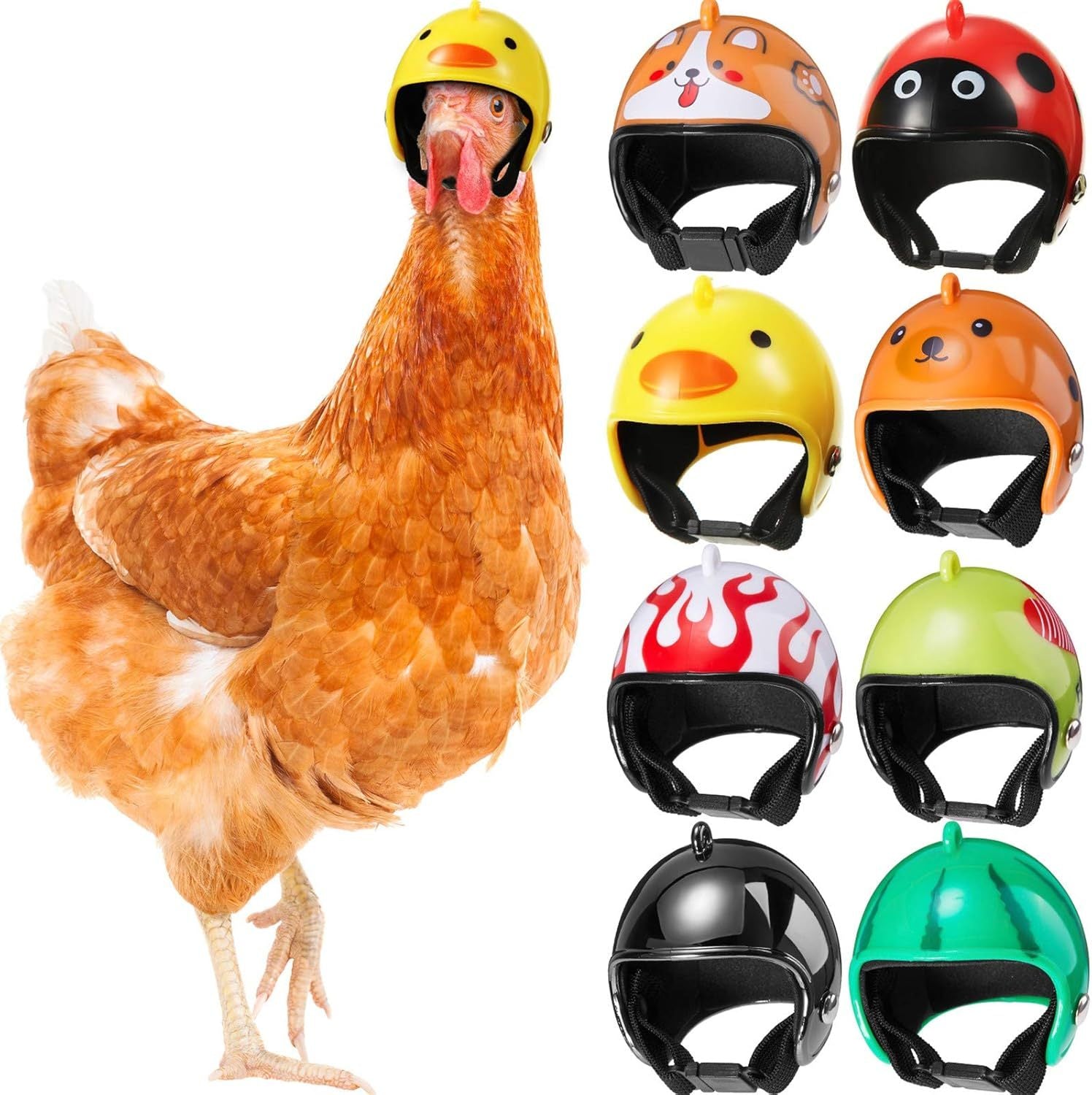 A chicken wearing a helmet. The helmet is a yellow rubber ducky