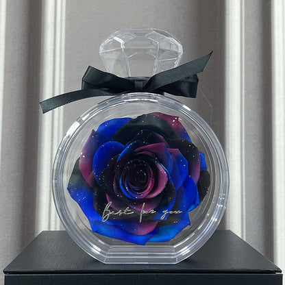 Timeless Dried Rose Gift Box with Transparent Cover for Holidays and Special Occasions