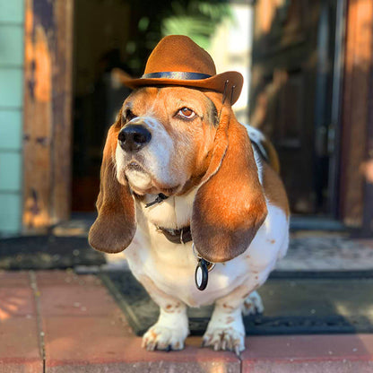 Pet Pup Rodeo! Adjustable Cowboy Hat for Dogs and Cats – Hilarious Headgear for Outdoor Adventures, Perfect for Photoshoots and Cosplay Fun!