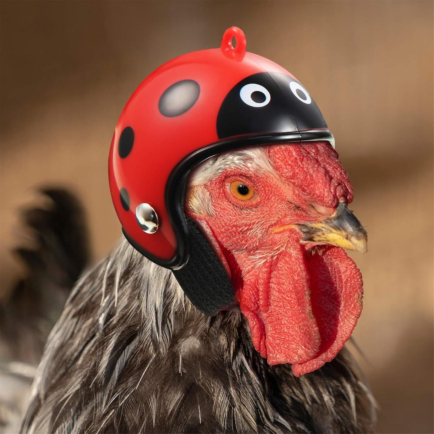 Charming Chicken Crusader Cap: Adorable Headgear for Your Feathered Friend's Safety and Style!