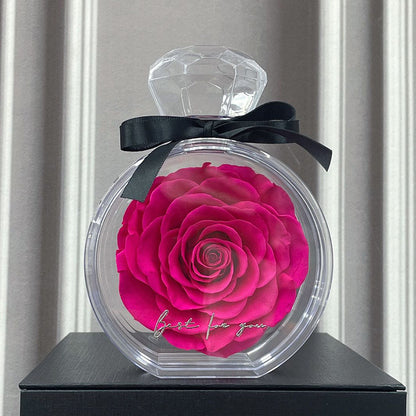 Timeless Dried Rose Gift Box with Transparent Cover for Holidays and Special Occasions