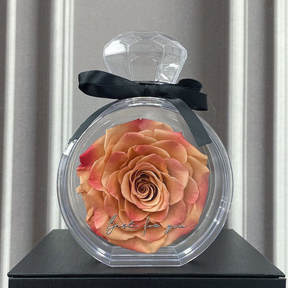 Timeless Dried Rose Gift Box with Transparent Cover for Holidays and Special Occasions