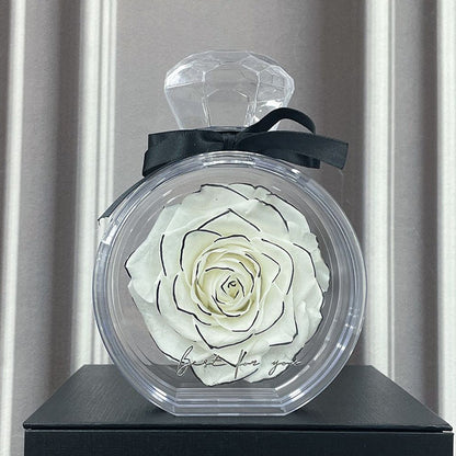 Timeless Dried Rose Gift Box with Transparent Cover for Holidays and Special Occasions